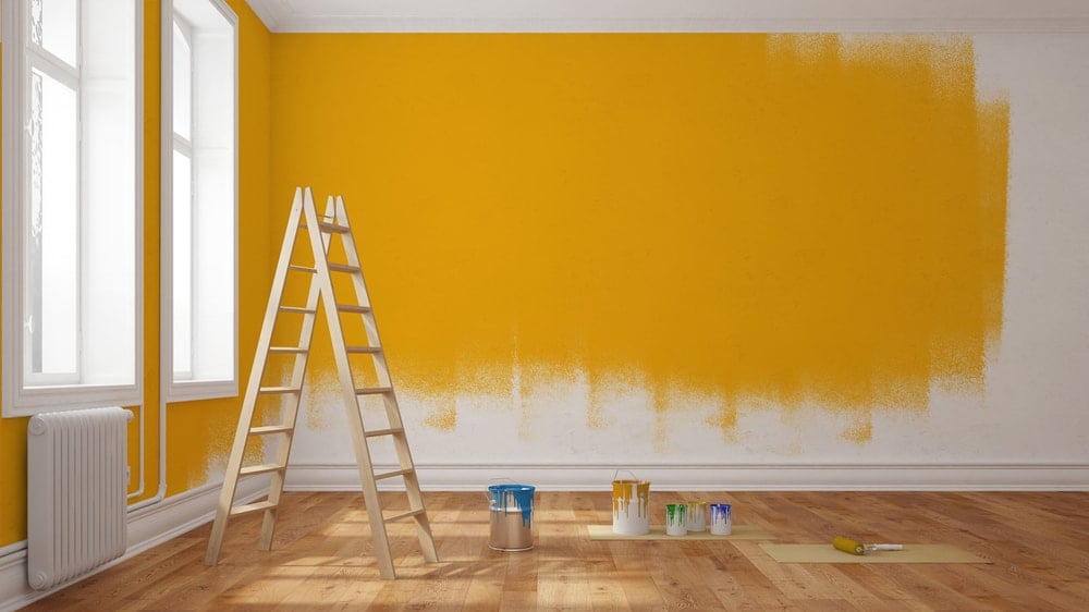 Painting vs. Wallpapering: Costs, Aesthetics, and Trying Your Patience