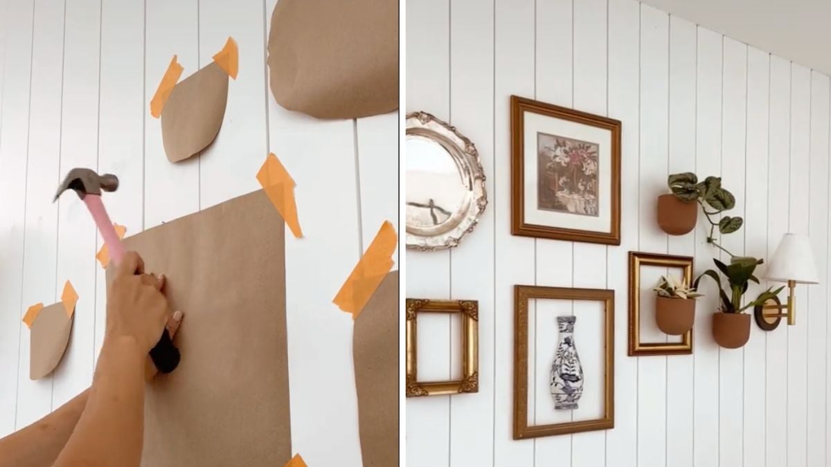 Woman Creates a Stunning “Plant Gallery” Wall that Brings Her Room to Life
