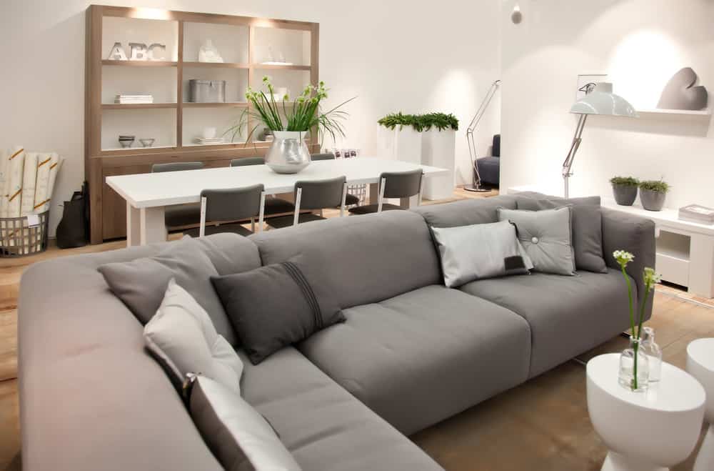 This is a transitional living room home décor example.