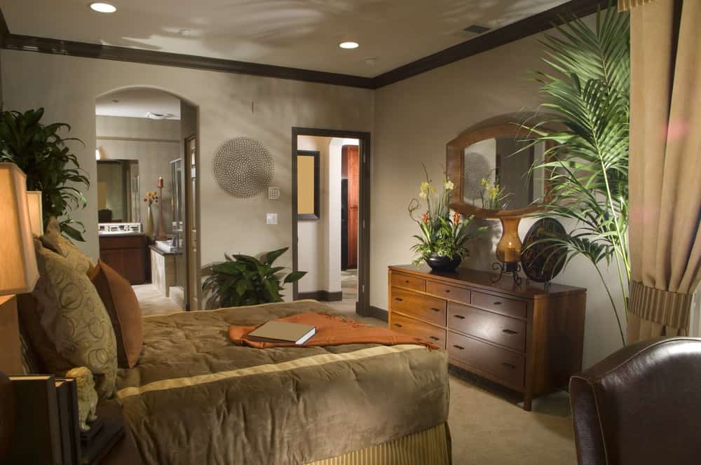 55 Tropical Style Primary Bedroom Ideas (Photos)